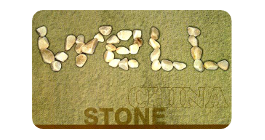 Well Stone Collaborator logo Well Stone China